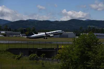 DSC_6300 (Large).JPG